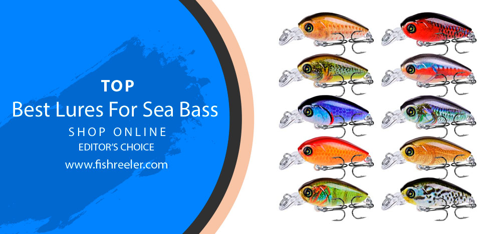 Lures For Sea Bass