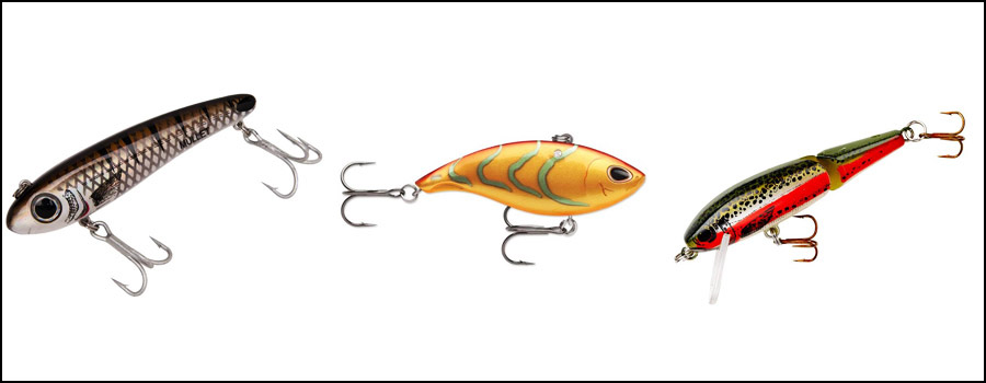 Must-Have Lures for Every Sea Bass Angler