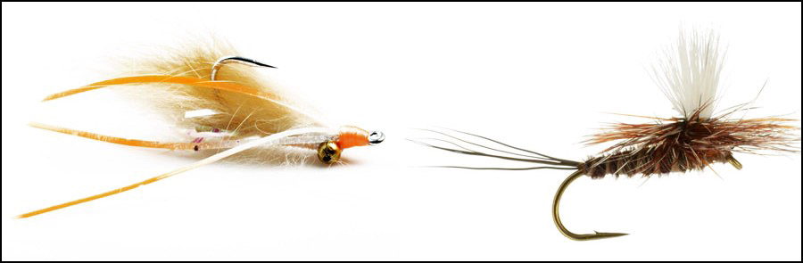 Fly Fishing Flies Fishing Fly Essential