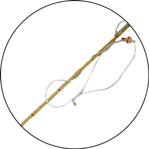Read more about the article History of the Fishing Pole
