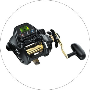 Read more about the article Daiwa Tanacom 1000 Electric Reel 2024