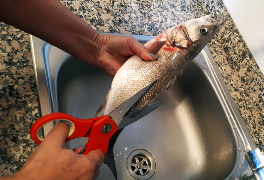 Sea bass cleaning process