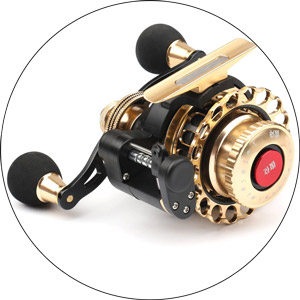 Read more about the article Best Automatic Fishing Reel 2024