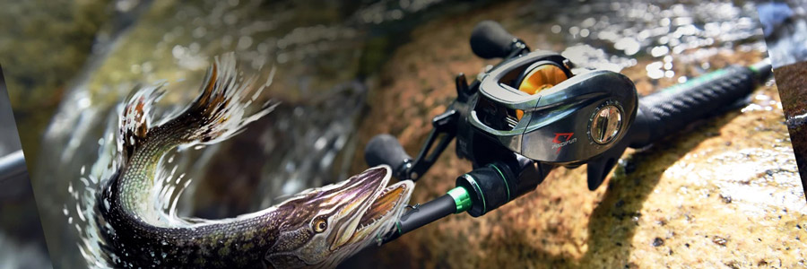 Piscifun Fishing Reels: Merging Technology and Tradition 2024