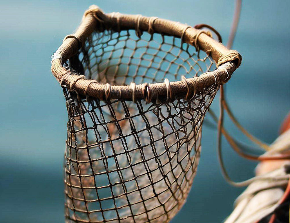 Fishing Excellence: Choosing the Right Landing Net for You 2024