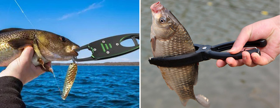 6 Inch Rapala Aluma-Pro Fish Gripper - Lip Grip with Stainless Steel Jaws
