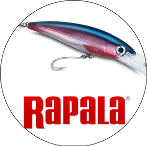 Read more about the article Best Rapala Lures 2024