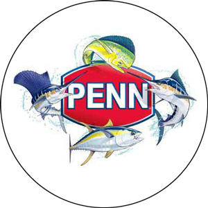 Read more about the article Penn Reels Review 2024