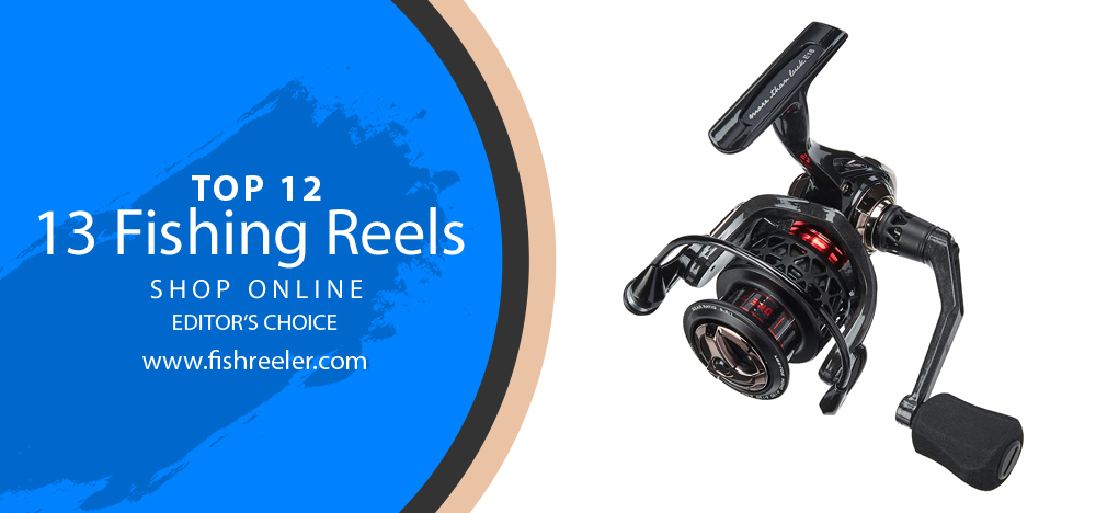 The 13 Fishing Reels Everyone's Raving About! 2024