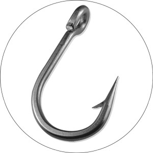 Read more about the article Best Fishing Hook 2024
