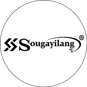 Read more about the article Sougayilang Spinning Fishing Reels 2024