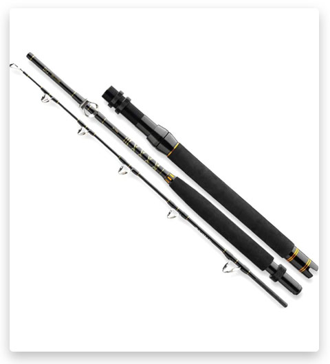 Daiwa Rods: Because Every Fish Tale Deserves the Best Start!