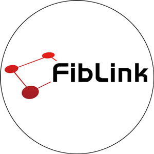 Read more about the article Fiblink Fishing Rods 2024
