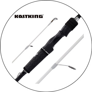 Read more about the article Best Fishing Rods Under 50 2024