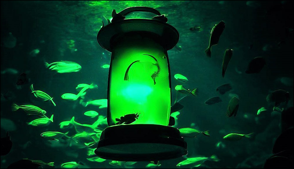 Ultimate Underwater Fishing Camera