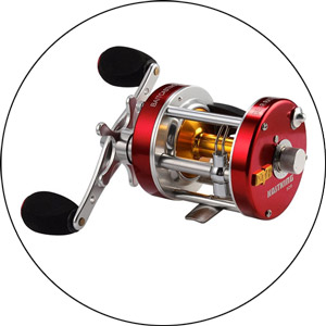 Read more about the article Best Musky Reel 2024