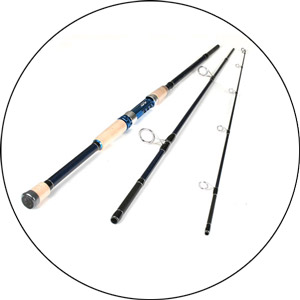 Read more about the article Best Inshore Fishing Rods 2024