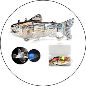 Read more about the article Robotic Fishing Lure 2024