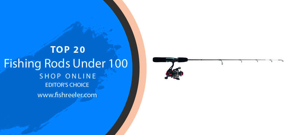 Fishing Rods Under 100