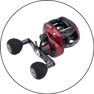 Read more about the article Abu Garcia Reel Review 2024