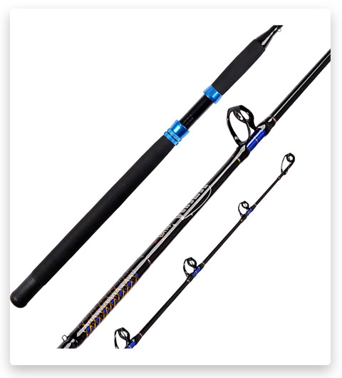 Fiblink Offshore Fishing Rod