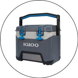 Read more about the article Igloo BMX Cooler Review 2024