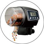 Best Automatic Fish Feeder 2024