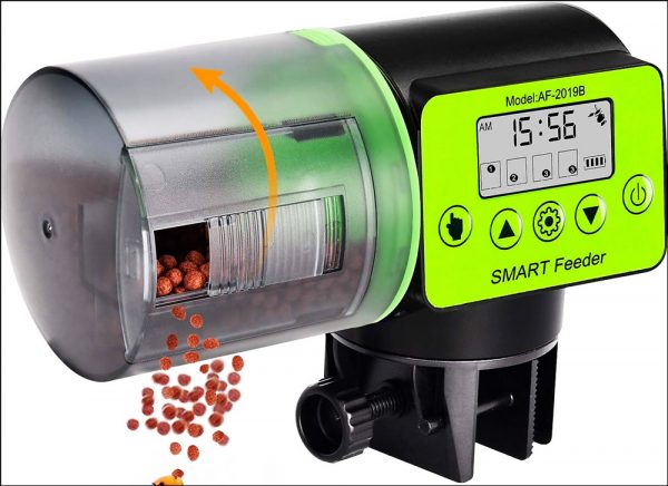Forget the Feeding Fuss: The Automatic Fish Feeder is Here! 2024