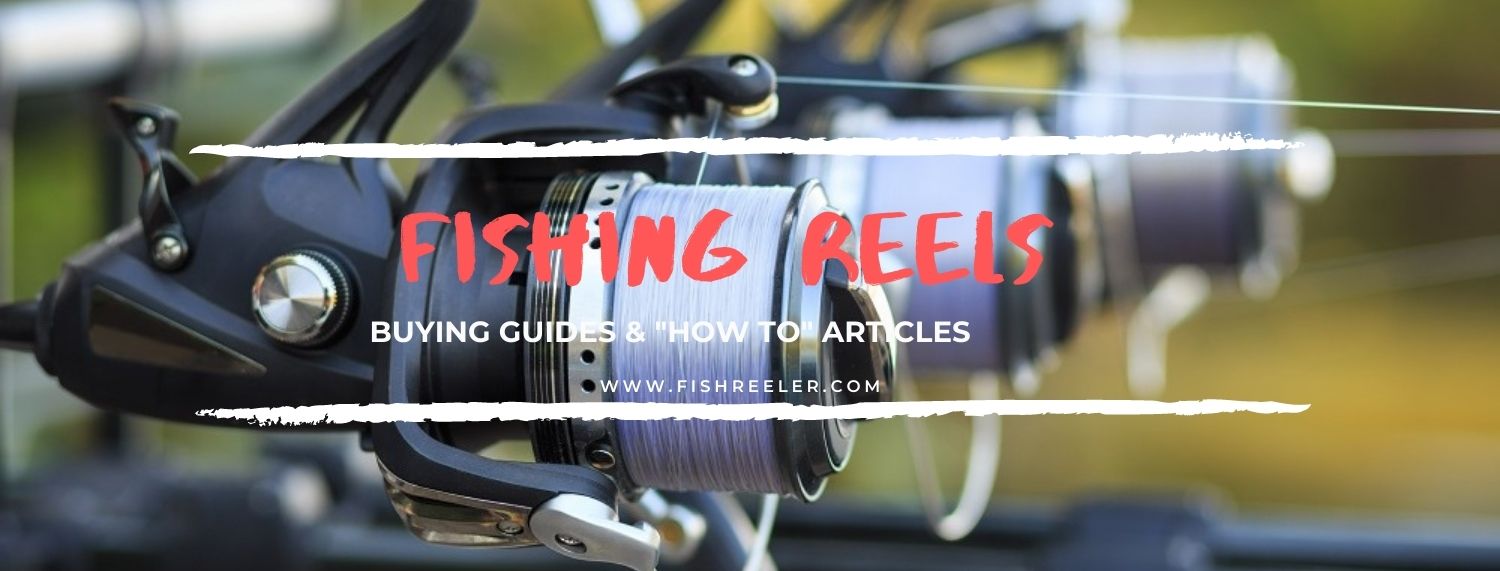 Fishing Reels
