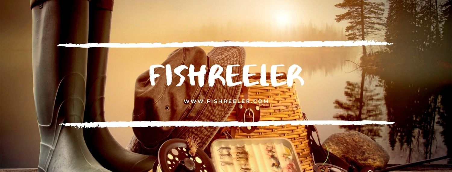 FishReeler - Fishing Blog