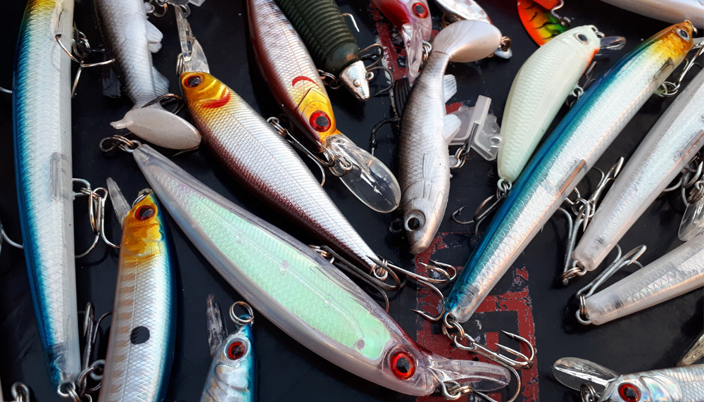 Important Baits For The First Fishing Trip