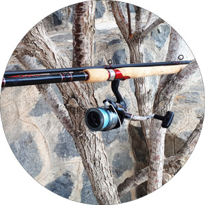 Read more about the article How To Use A Spinning Reel