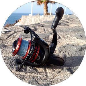 Read more about the article Piscifun Flame Spinning Reel Review