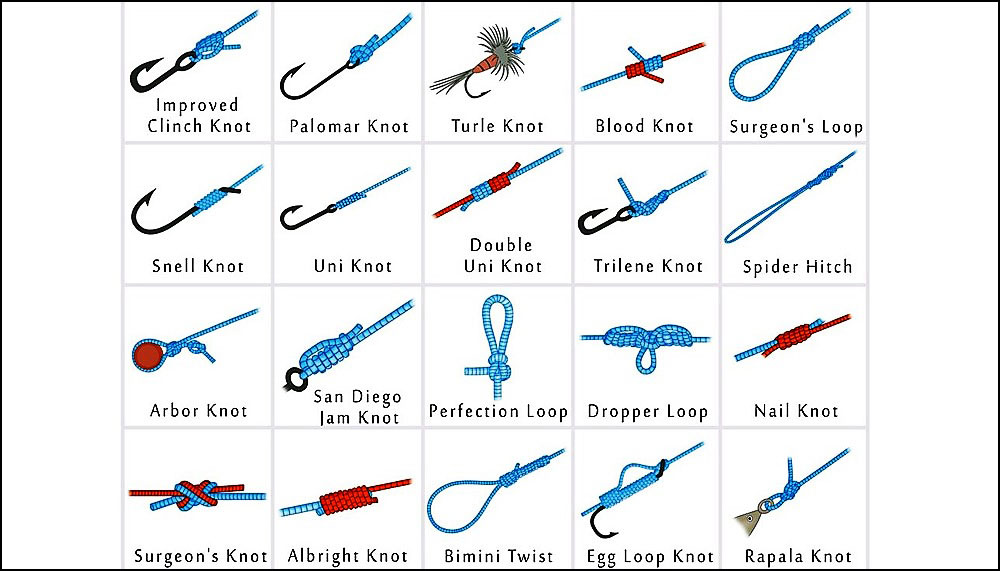 Different Types of Fishing Knots