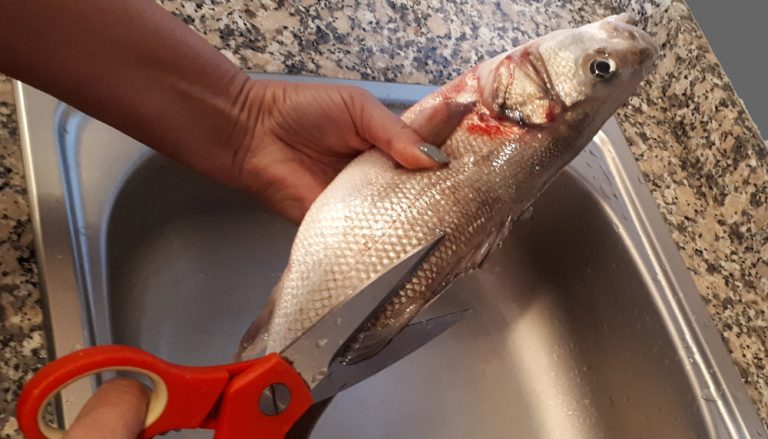 Fish Filleting Demystified: Tips and Tricks for the Perfect Slice!