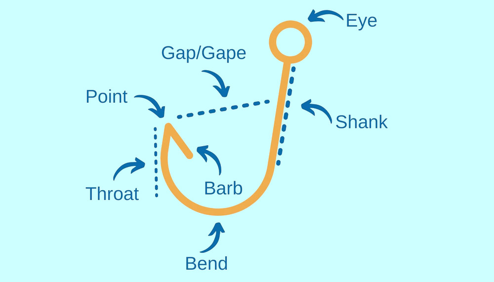 Fishing Hook Anatomy Guide