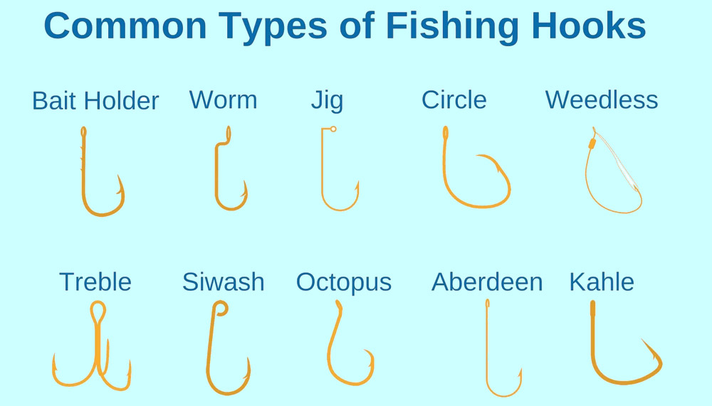 Common Types of Fishing Hooks Guide