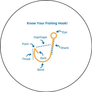 Read more about the article How to Choose the Right Fishing Hook the First Time