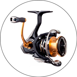 Read more about the article Best Spinning Reel for Trout Fishing 2024
