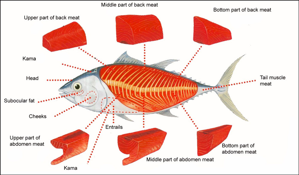 Secrets to Perfect Fish Fillets