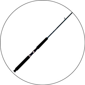 Read more about the article Best 10ft Fishing Rod 2024