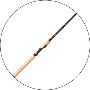 Read more about the article Best Bottom Fishing Rods