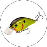 Best Fishing Lures For Snook 2024