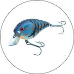 Best Lures For Beach Fishing 2024