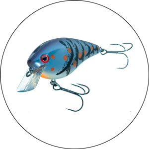 Read more about the article Best Lures For Beach Fishing 2024