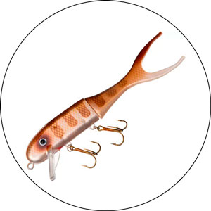 Read more about the article Best Lures For Dock Fishing 2024