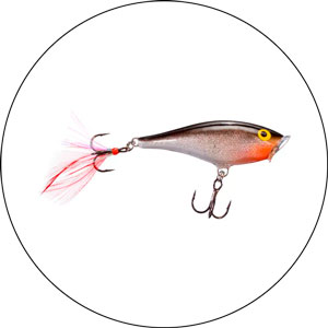 Read more about the article Best Lures For Jetty Fishing 2024