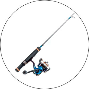 Read more about the article Best Pan Fishing Rods 2024