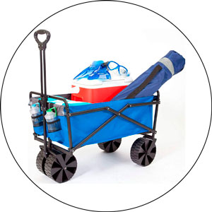 Read more about the article Best Pier Fishing Cart 2024