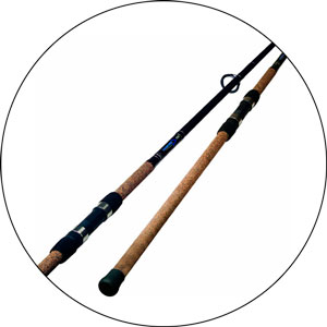 Read more about the article Best Surf Rod For Striper Fishing 2024